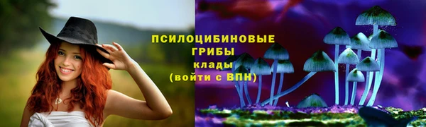герыч Карпинск