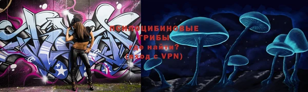 спайс Касимов